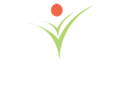 ABOUT LEON HOLDING GROUP